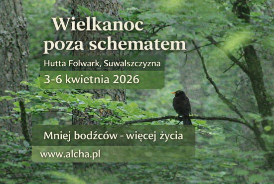 ChatGPT Image 26 sty 2026, 09_37_01